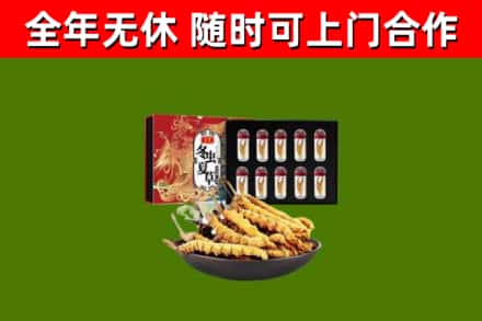 宿迁回收冬虫夏草价格
